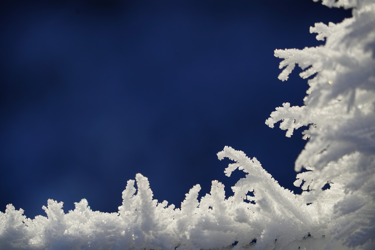 eiskristalle hoarfrost snow crystals free photo