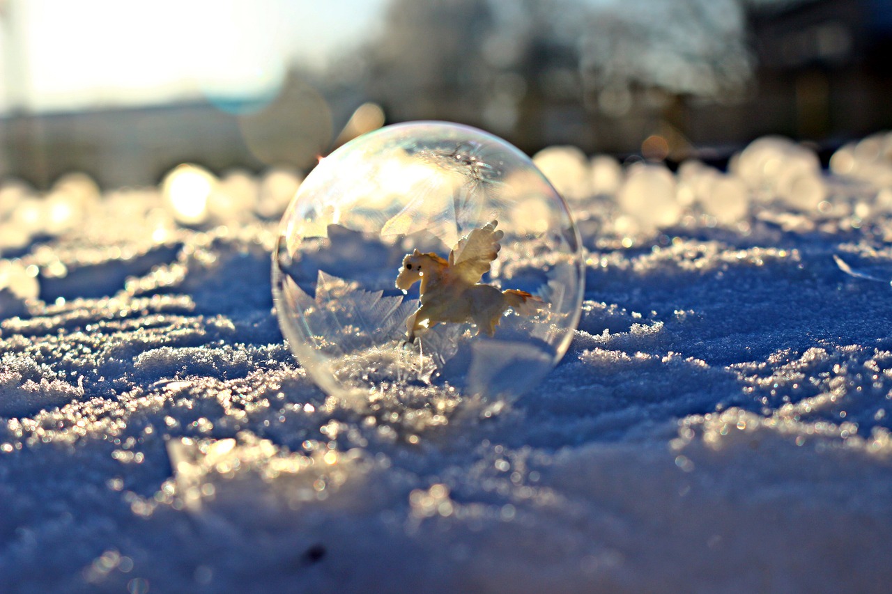 eiskristalle ice-bag frost globe free photo