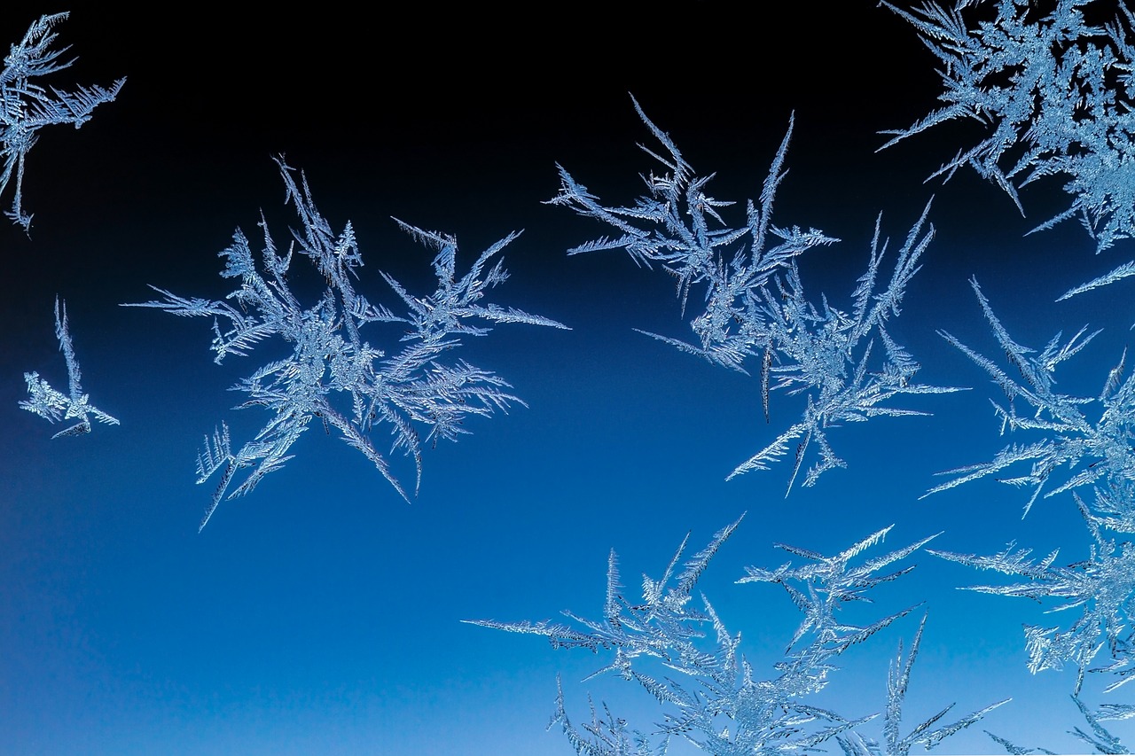 eiskristalle  winter  frost free photo