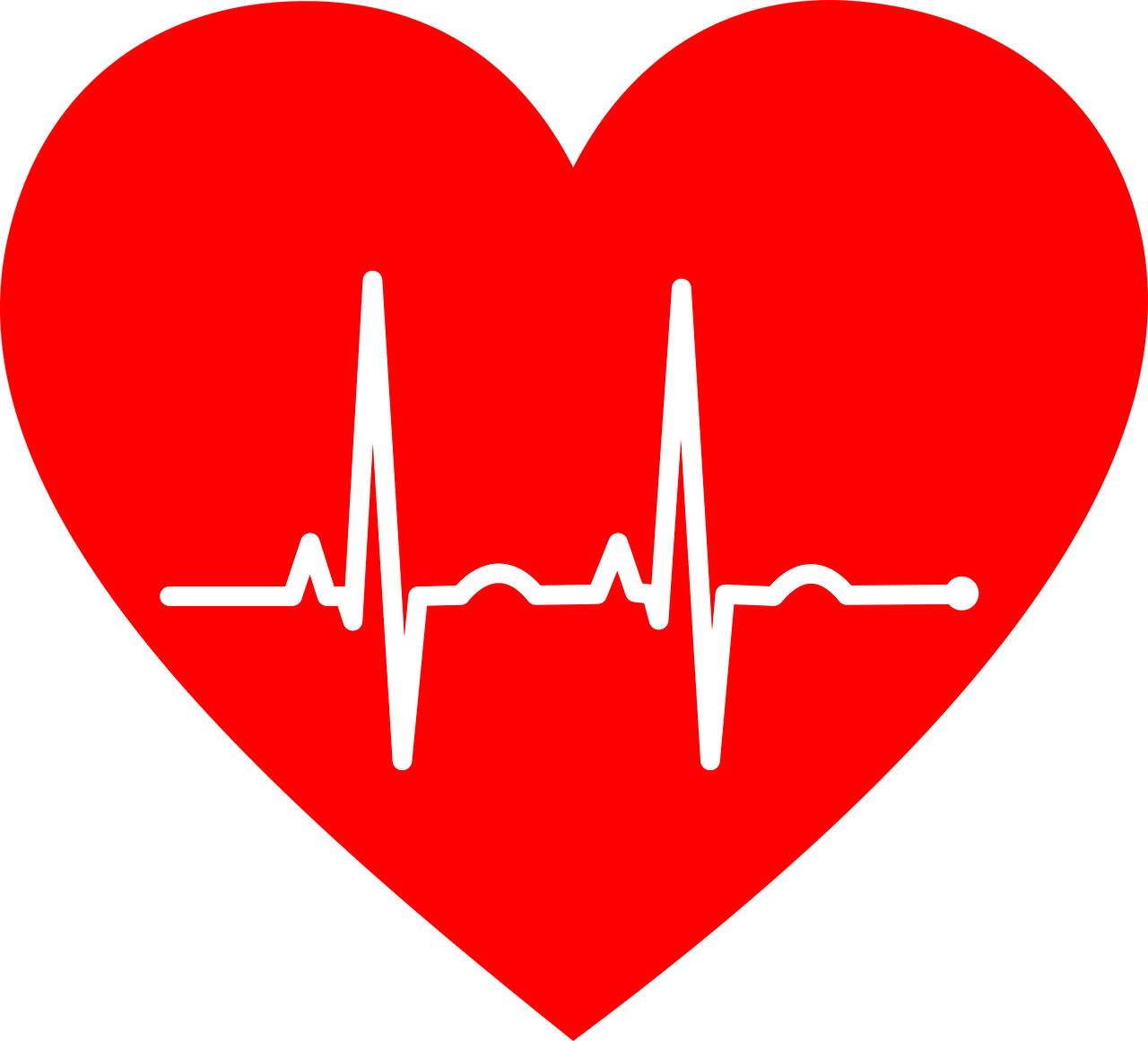 ekg electrocardiogram heart free photo