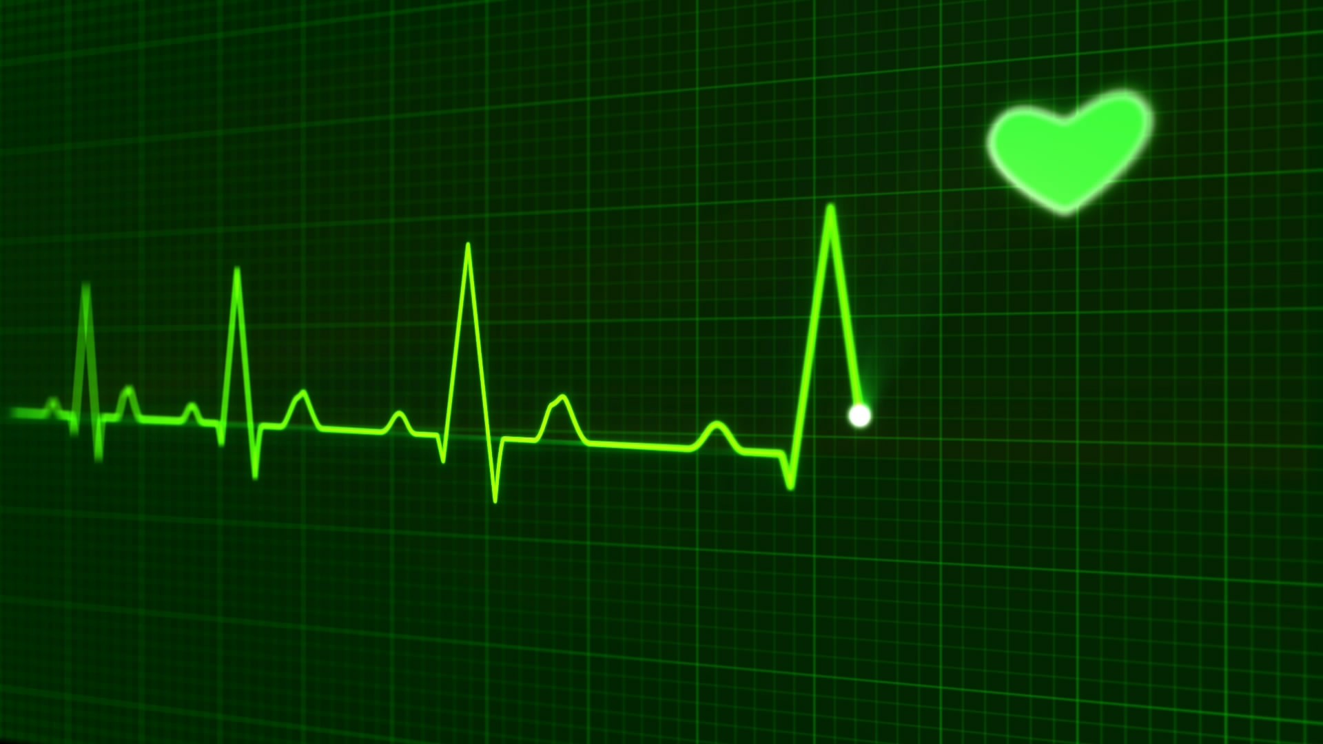 pulse trace healthcare and medicine heartbeat free photo