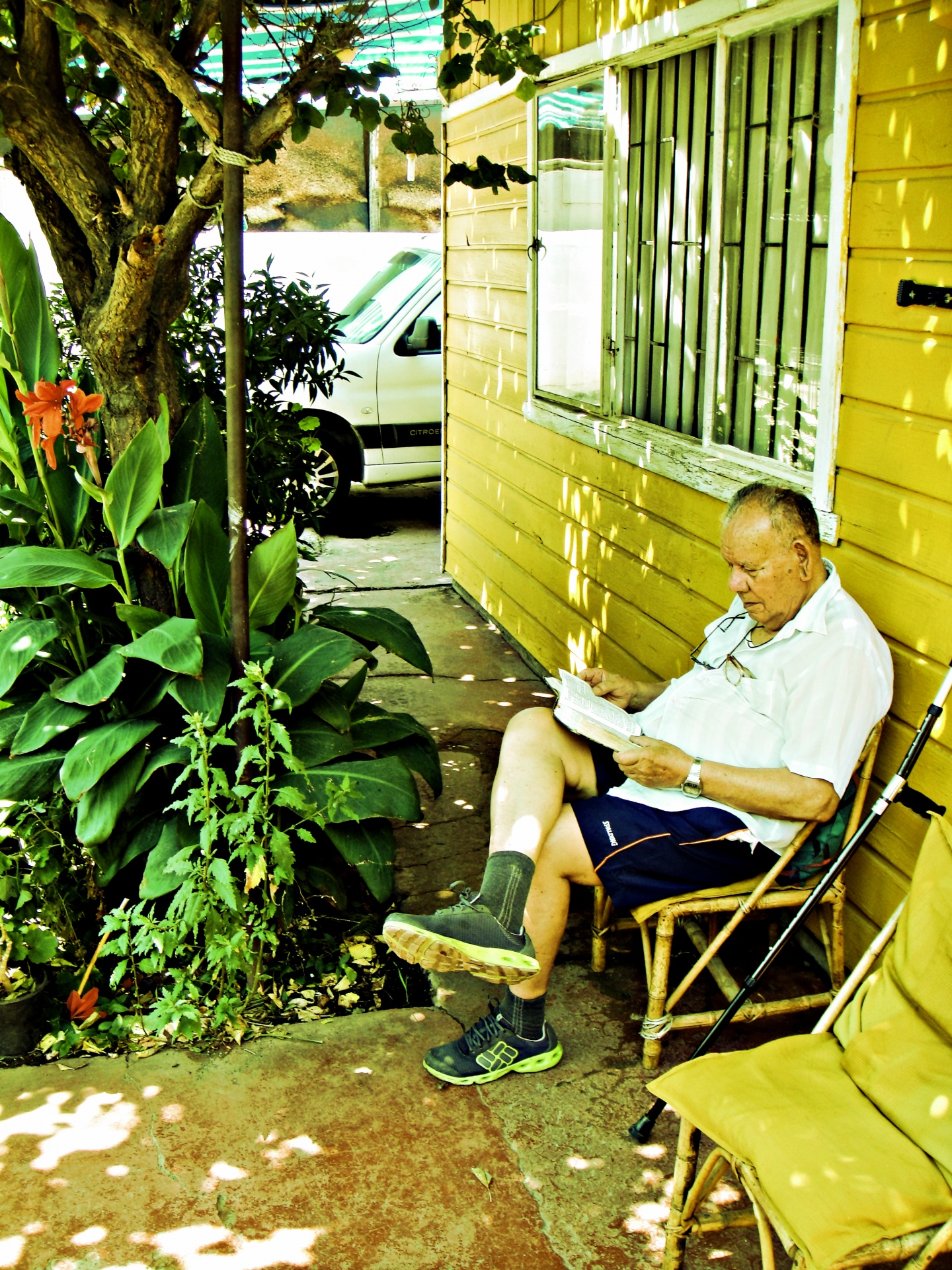 garden grandfather read free photo