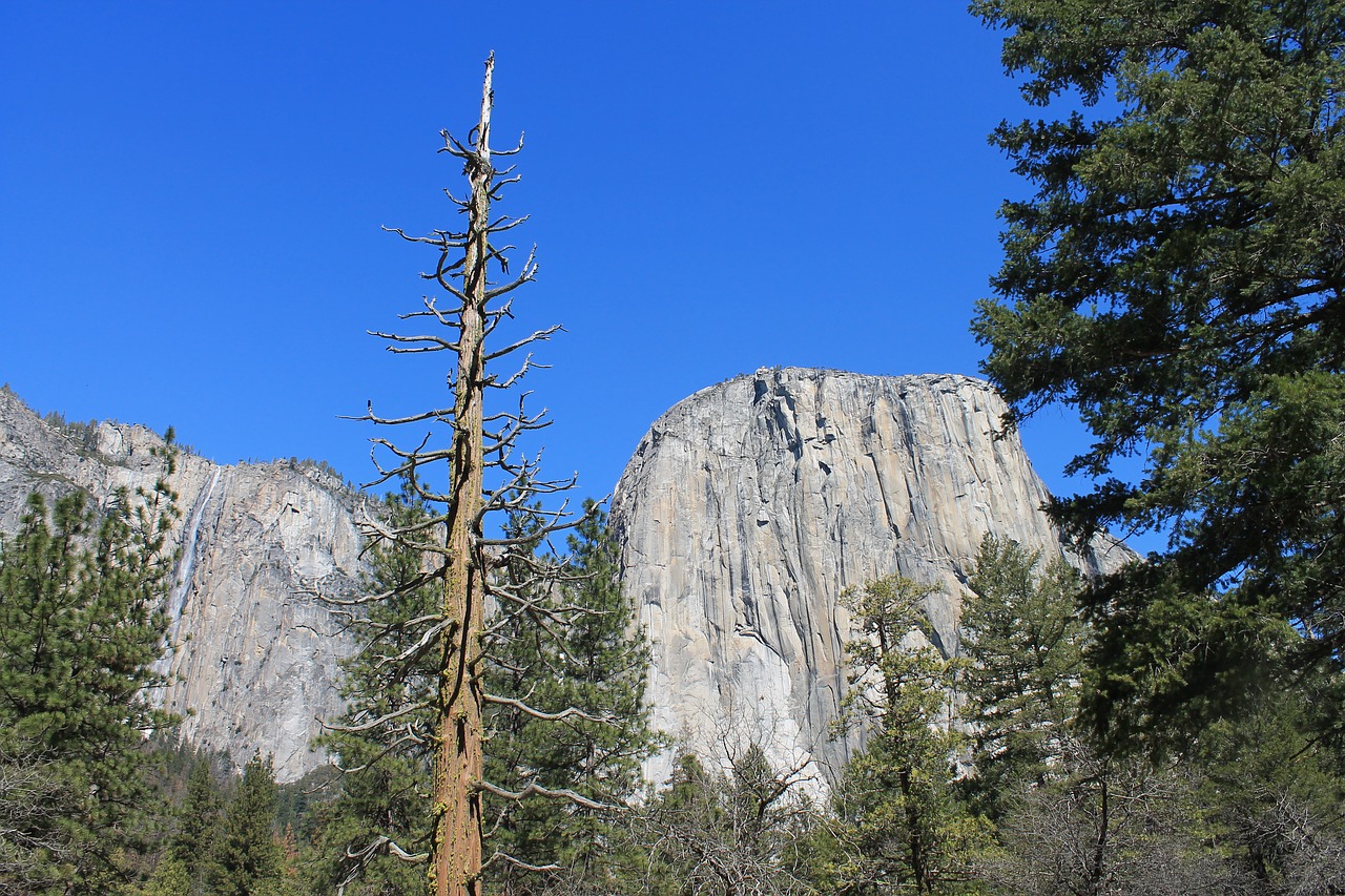 el capitan yosemite usa free photo