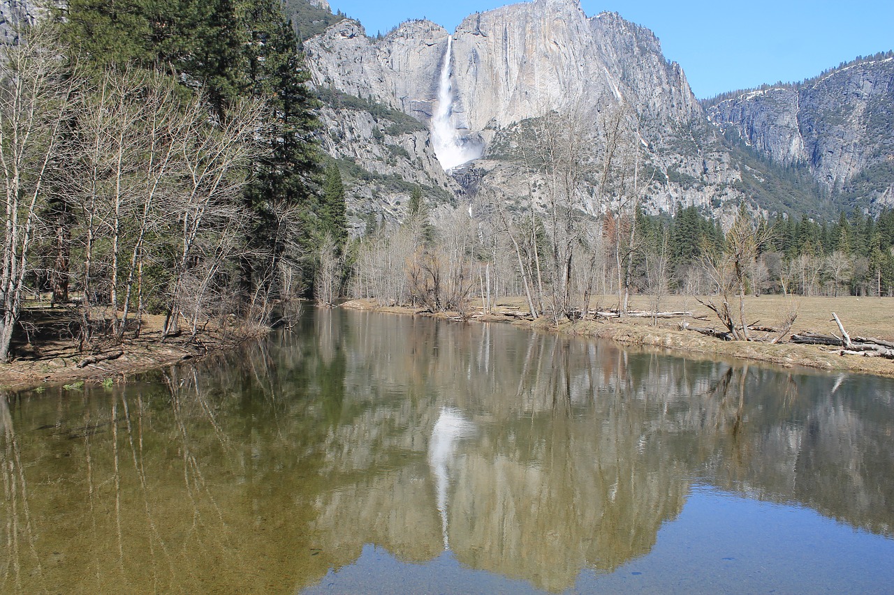 el capitan yosemite tree free photo