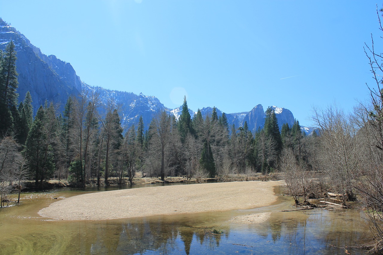 el capitan yosemite tree free photo