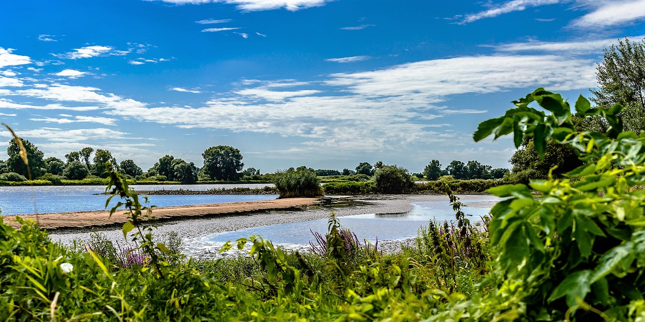 elbe dike river free photo