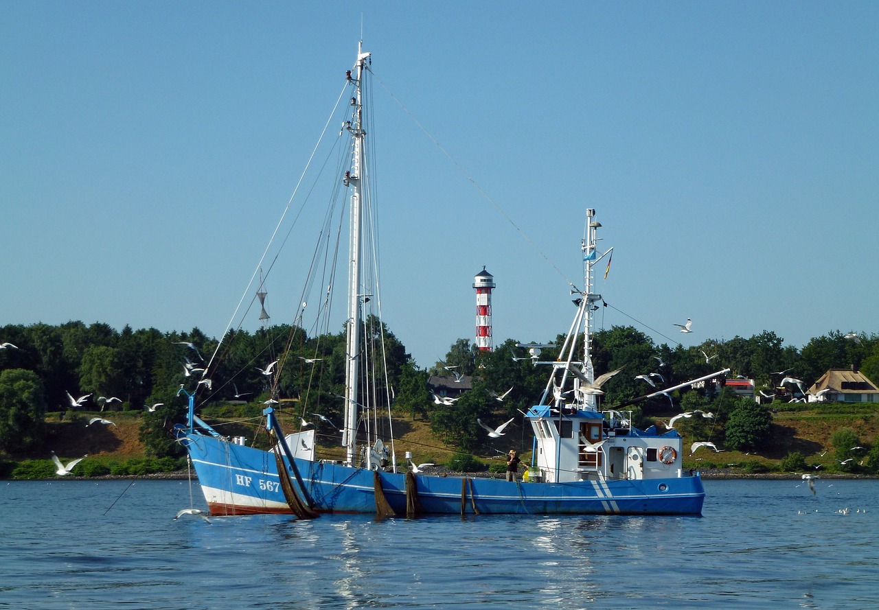 elbe fischer fishing vessel free photo