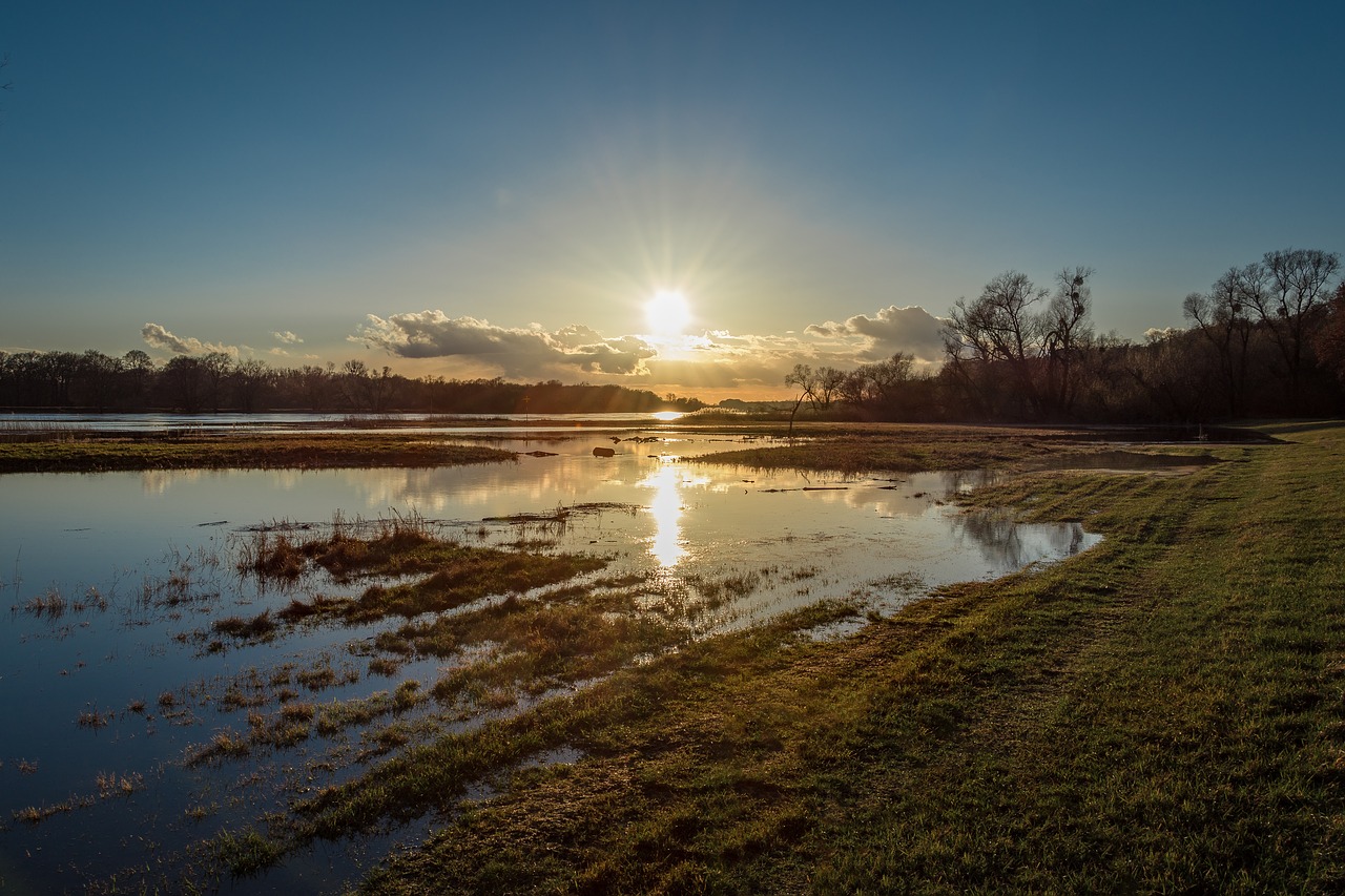 elbe high water evening free photo