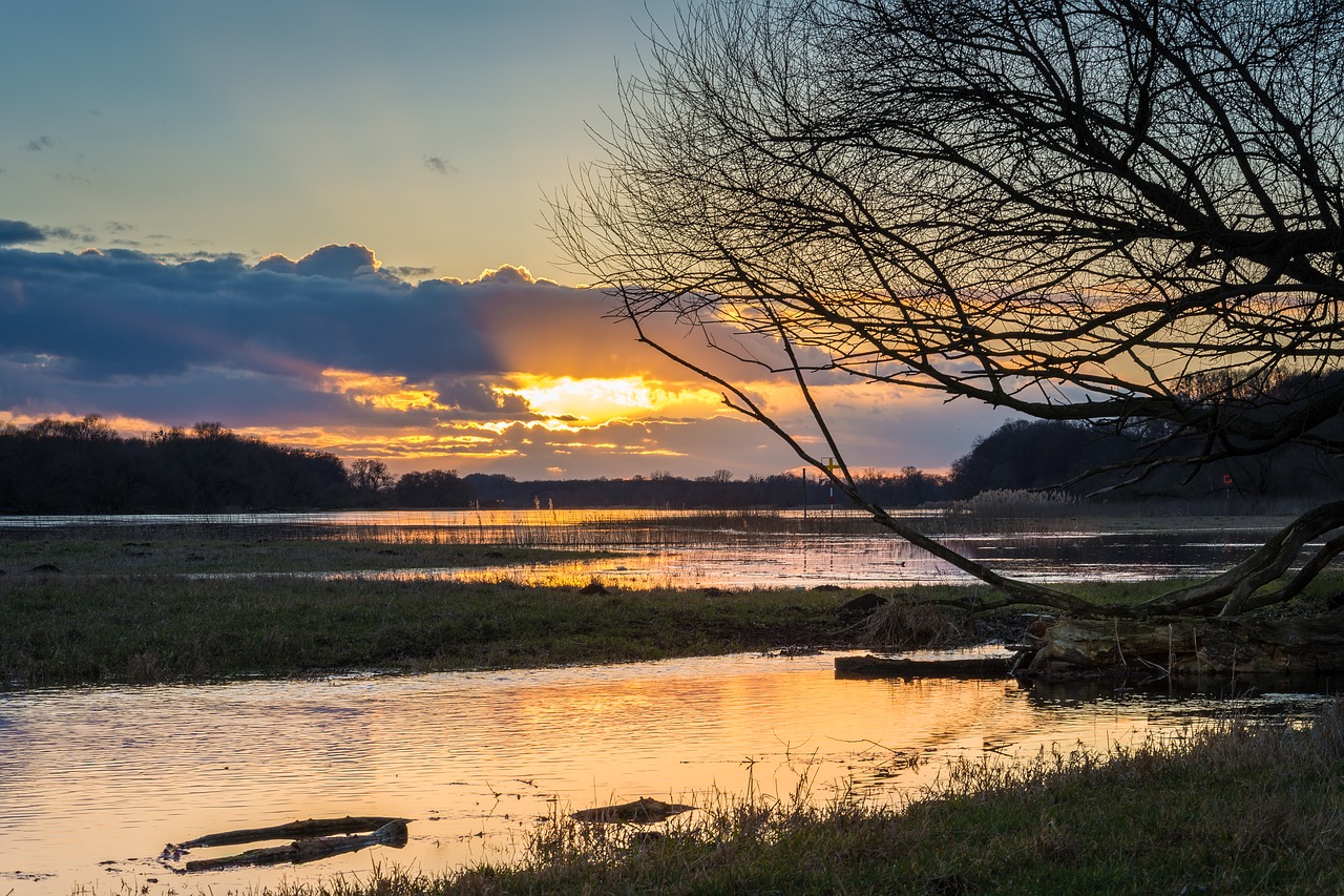 elbe high water evening free photo