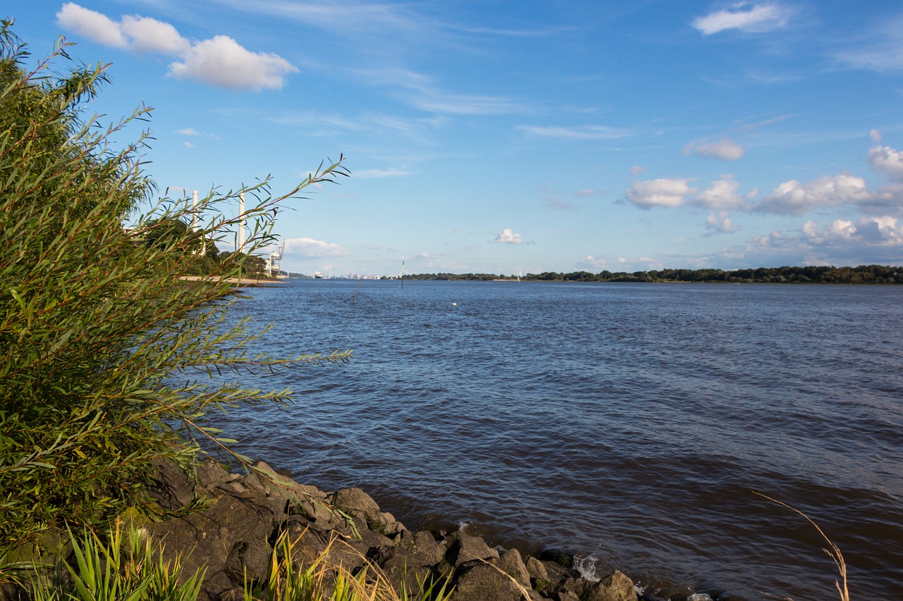 elbe hamburg sea free photo