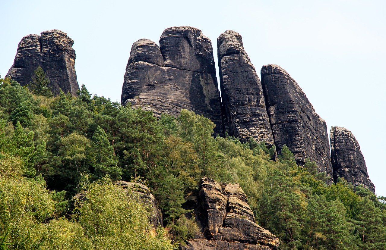 elbe elbe valley nature free photo