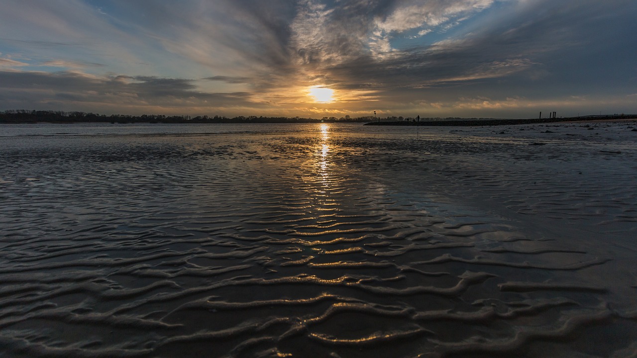 elbe beach hamburg free photo