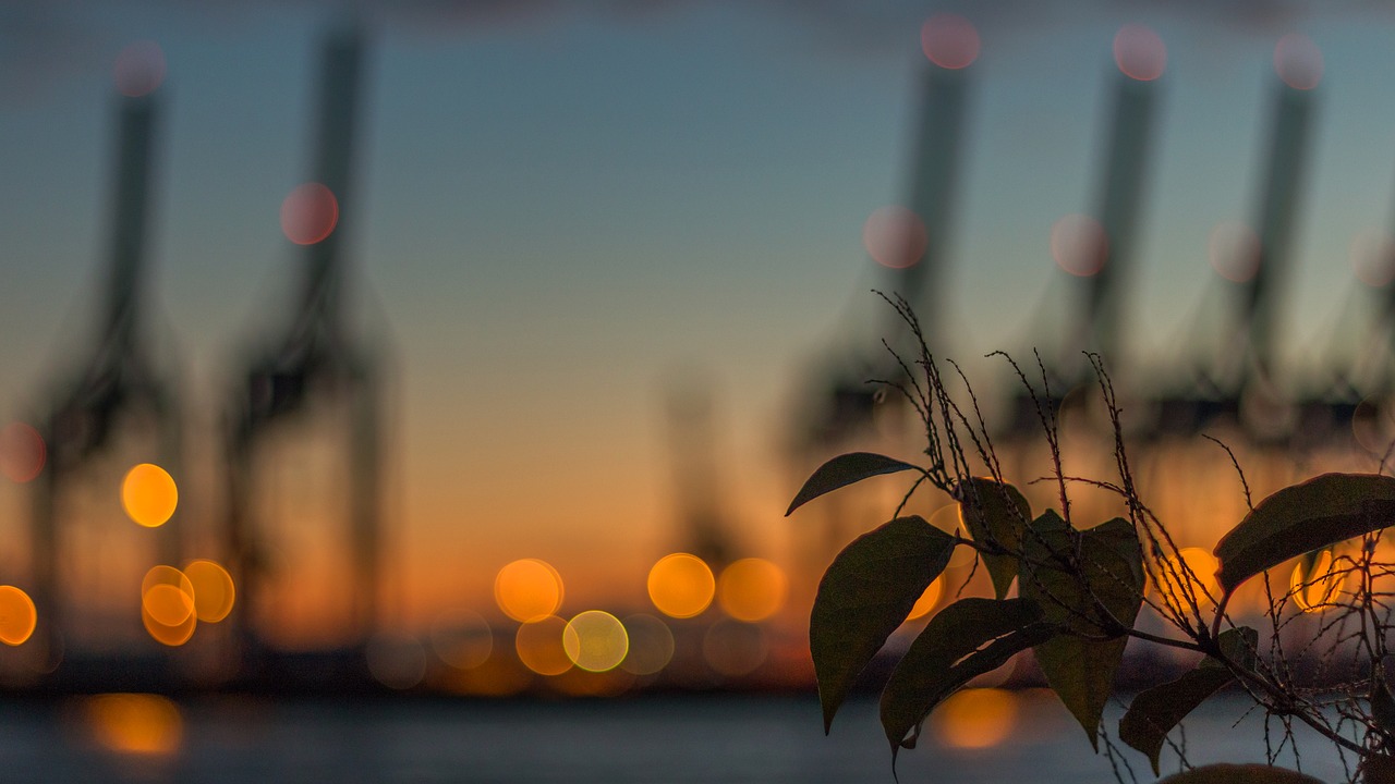 elbe hamburg elbe beach free photo