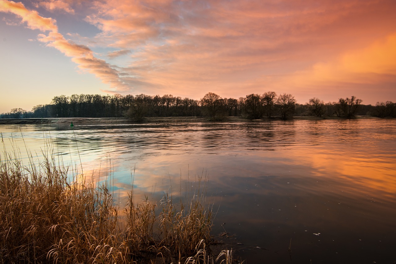 elbe sunrise river free photo