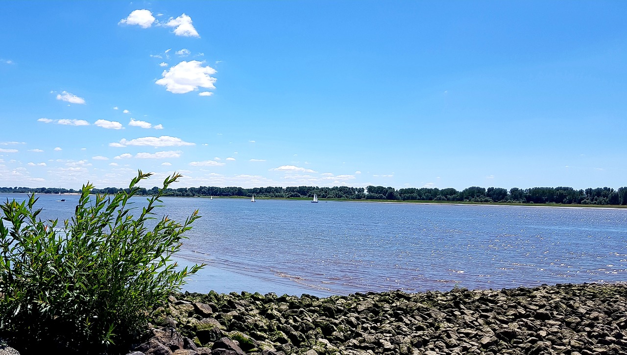 elbe  hamburg  elbe beach free photo