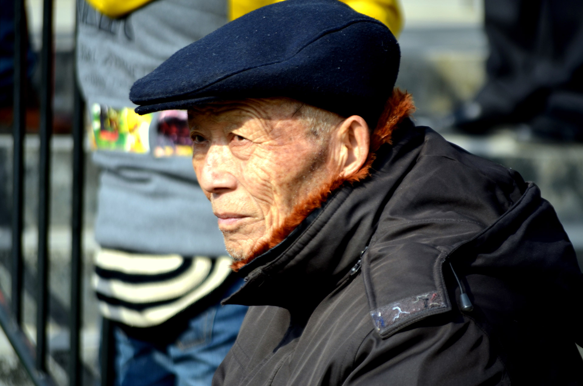 man elder elderly free photo
