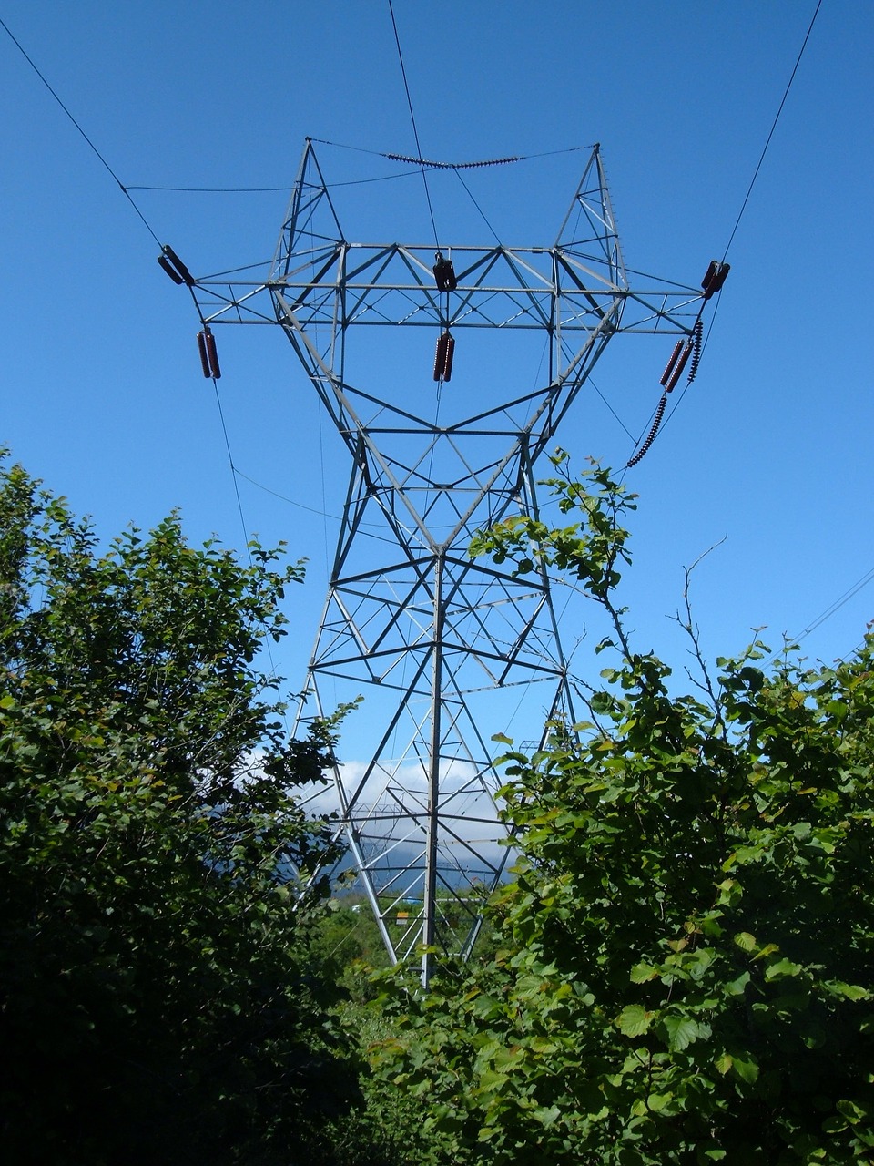 electric powerline power free photo