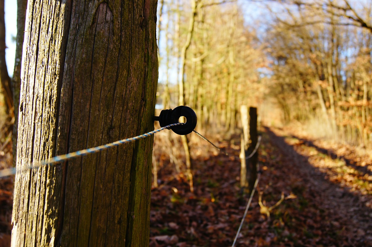 electric fence away fence free photo