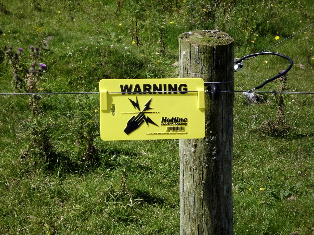 electric fence fence electric free photo