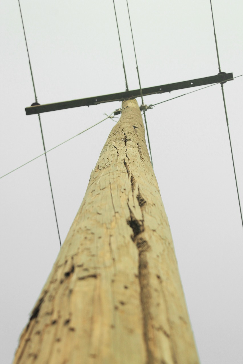 electricity cables wooden poles free photo
