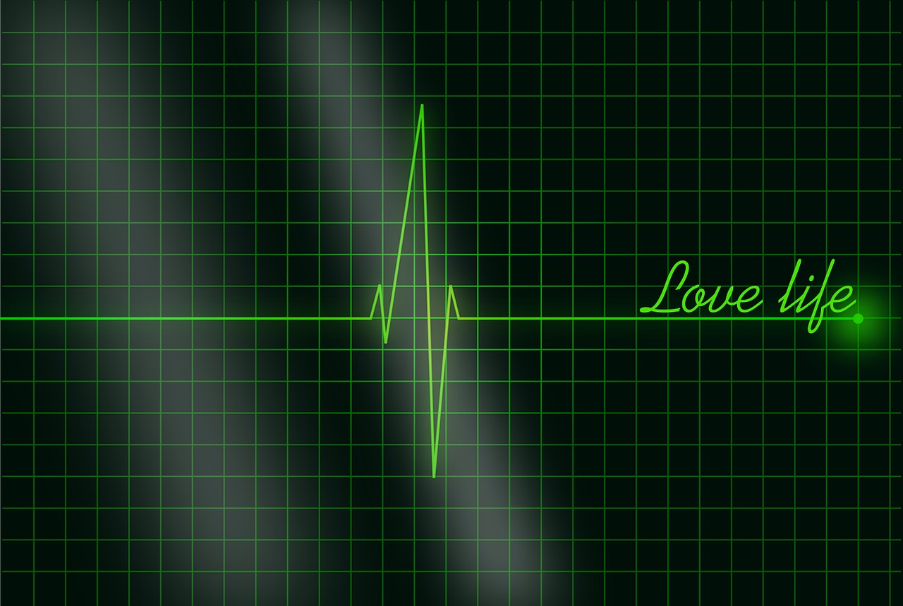 electrocardiogram the rhythm heart rhythm free photo
