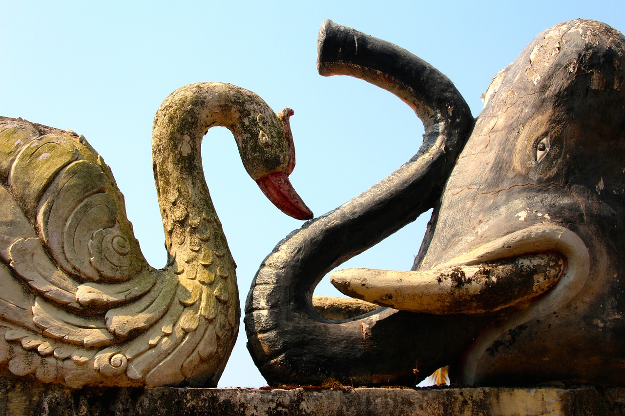 elephant swan stone free photo