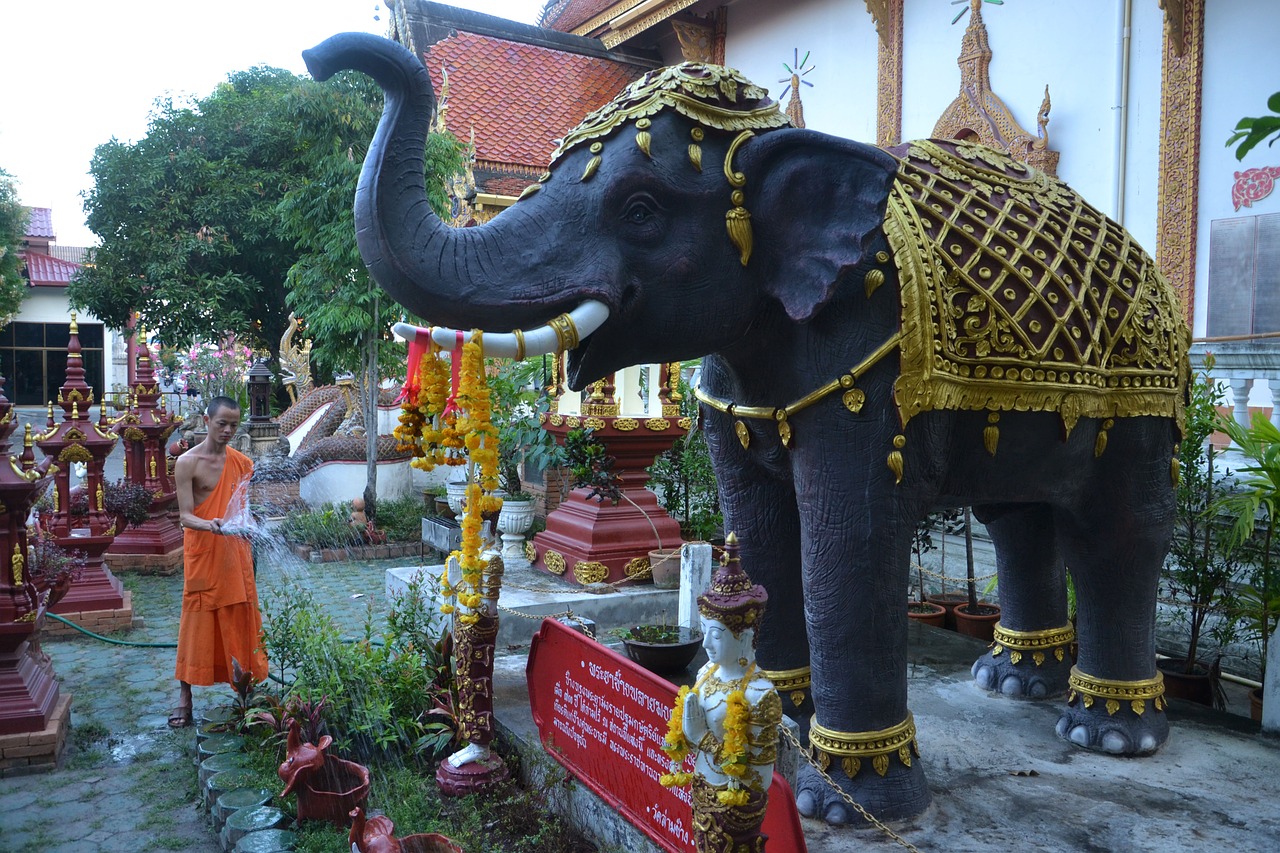 elephant monk thailand free photo