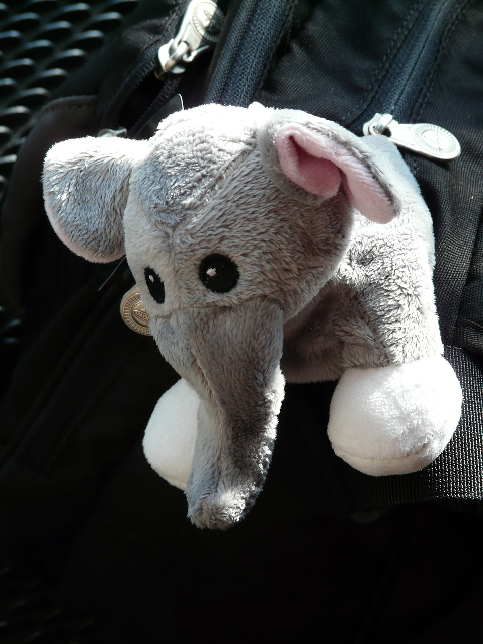 elephant stuffed animal fabric free photo