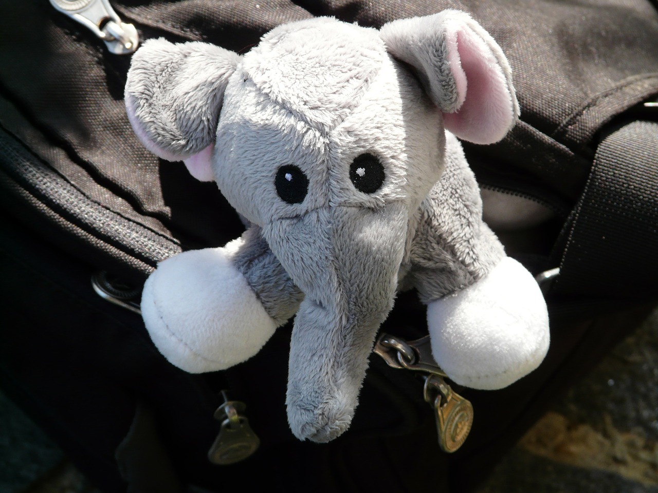 elephant stuffed animal fabric free photo