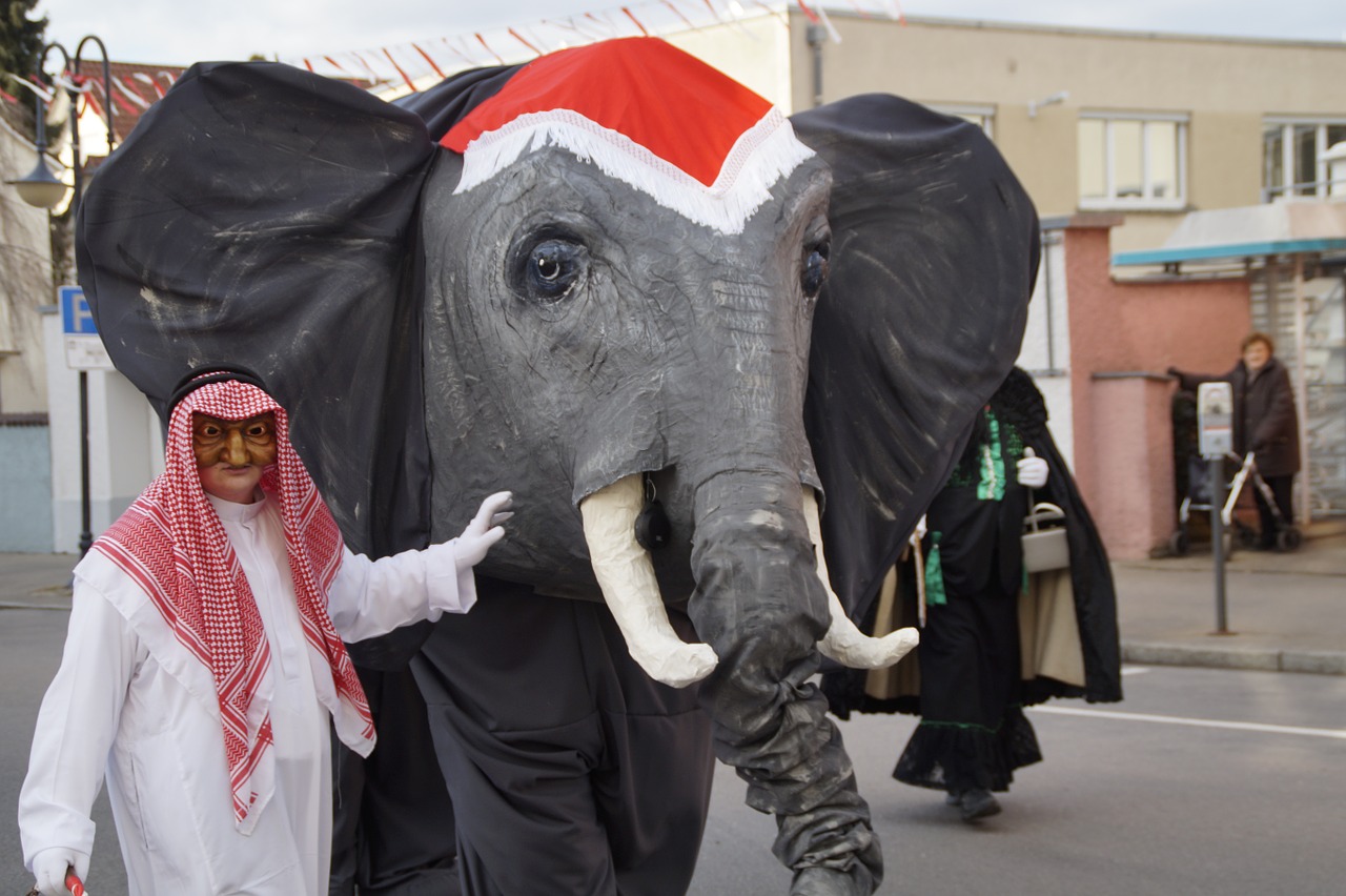 elephant sheikh tamer free photo