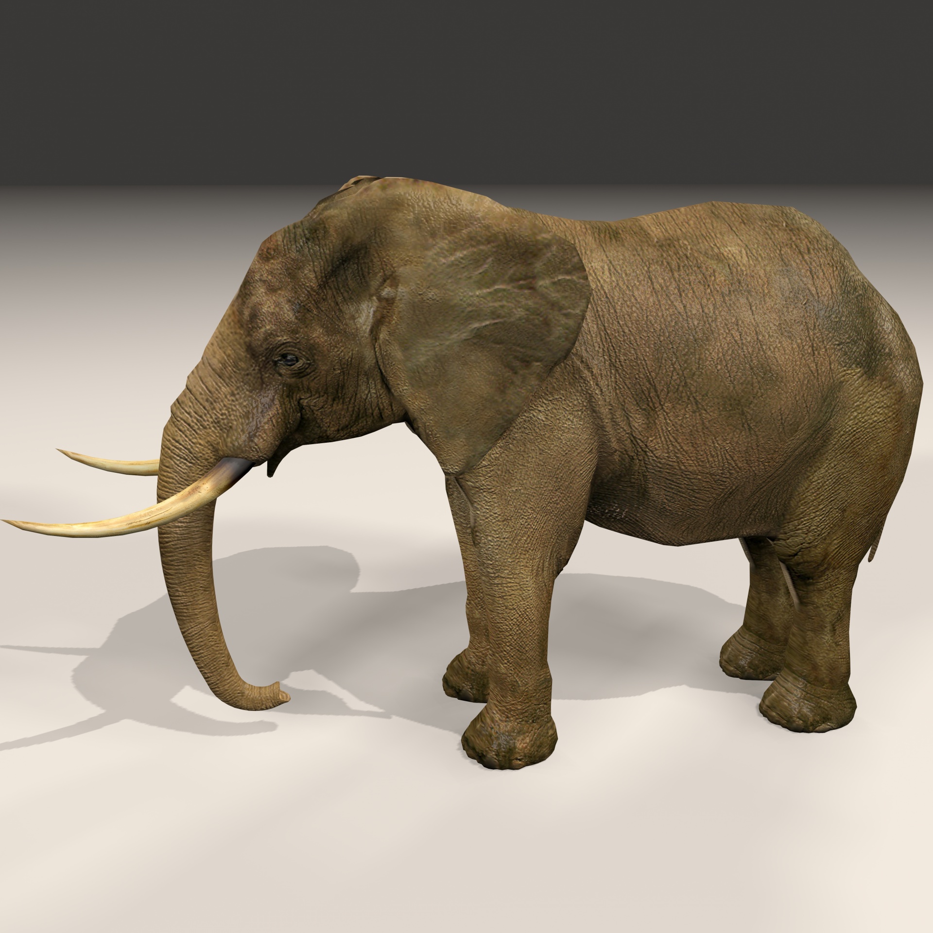 drawing 3d elephant free photo