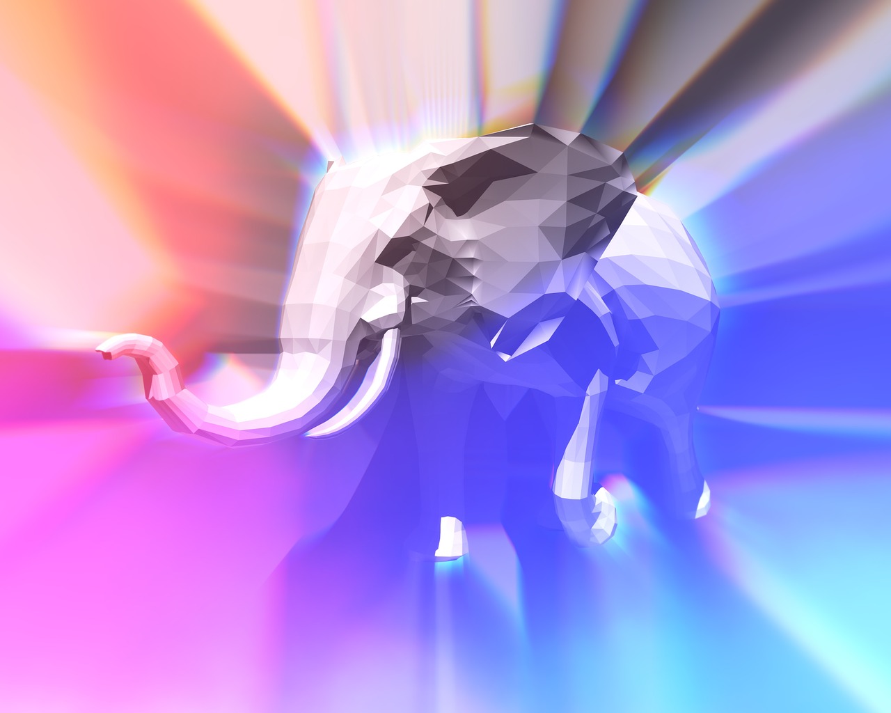 elephant abstract color free photo