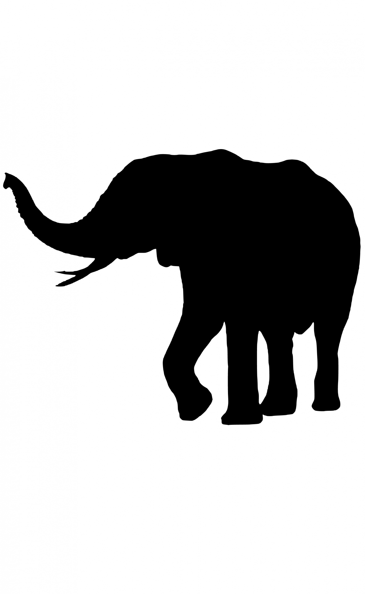 silhouette elephant african free photo