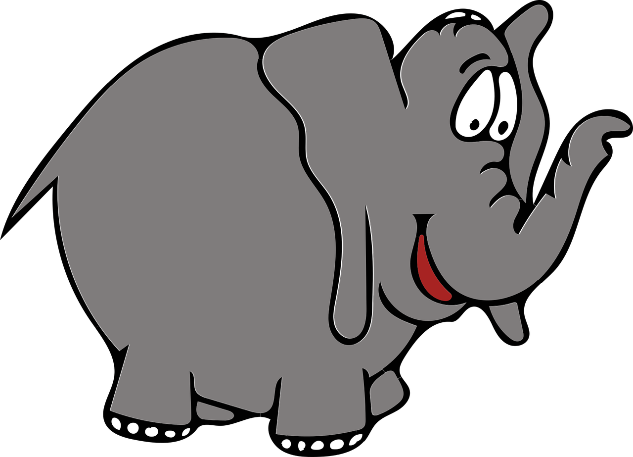 elephant gray trunk free photo