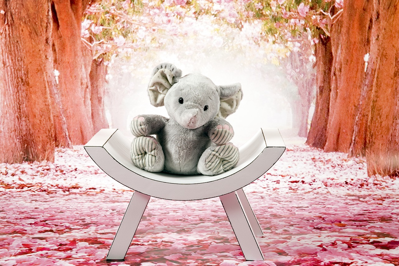 elephant gray plush free photo