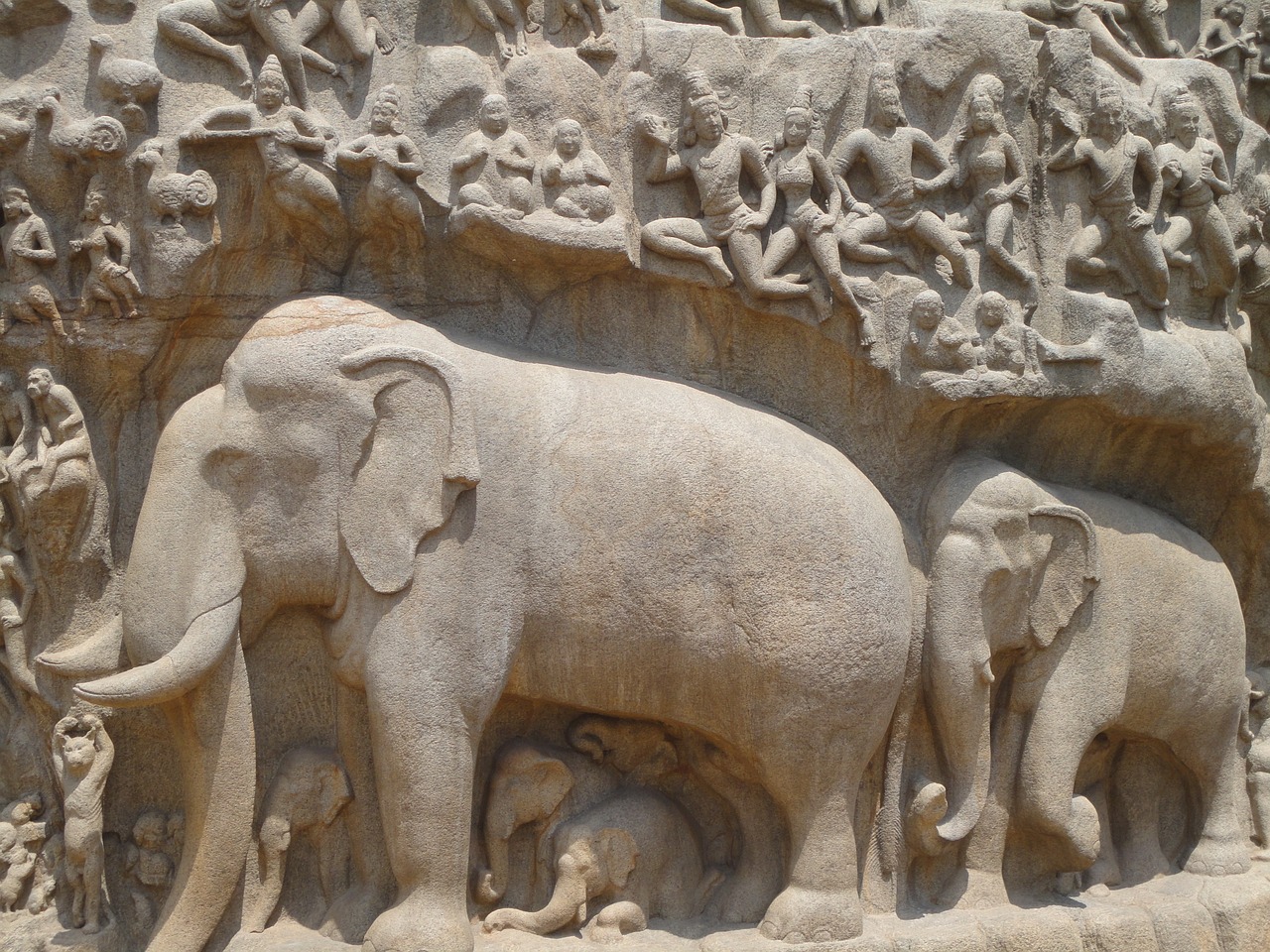 elephant mahaballipuram temple free photo