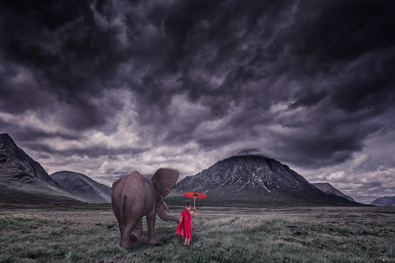 elephant child monk free photo