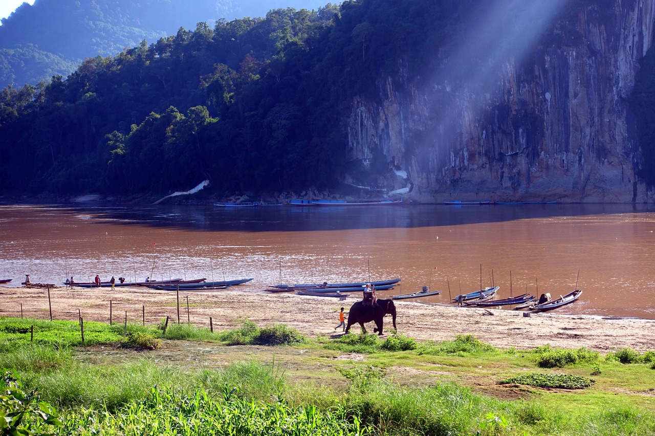 elephant river asia free photo