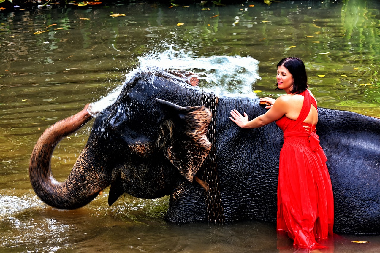 elephant woman squirt free photo