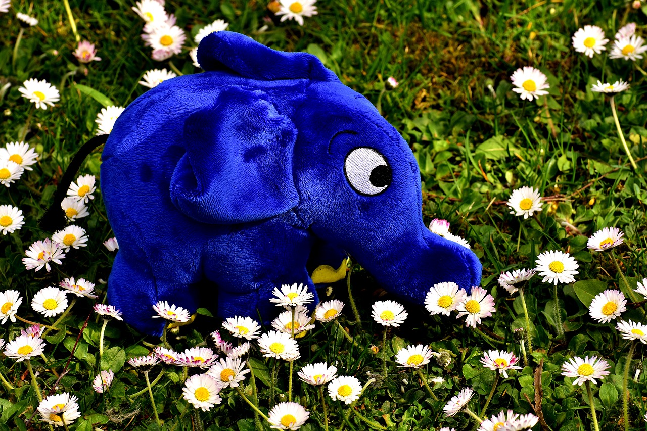 elephant soft toy teddy bear free photo