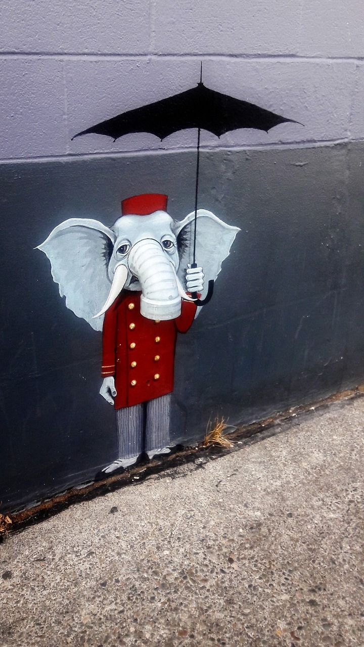 elephant street art unexpected free photo