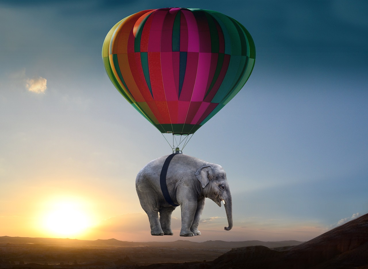 elephant sunset steppe free photo