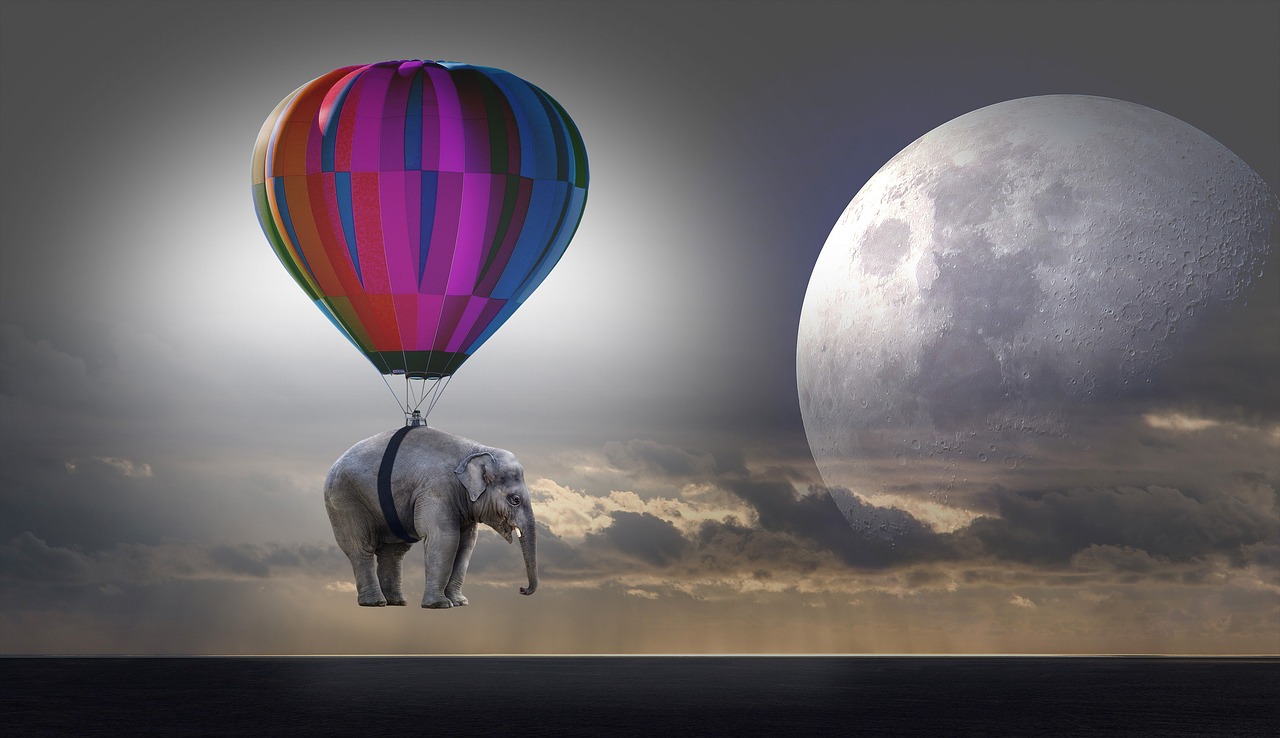 elephant weightless balloon free photo