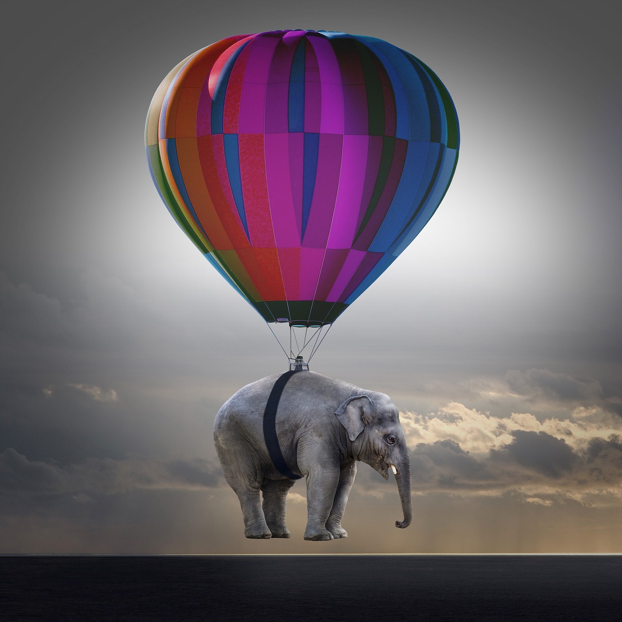 elephant weightless balloon free photo