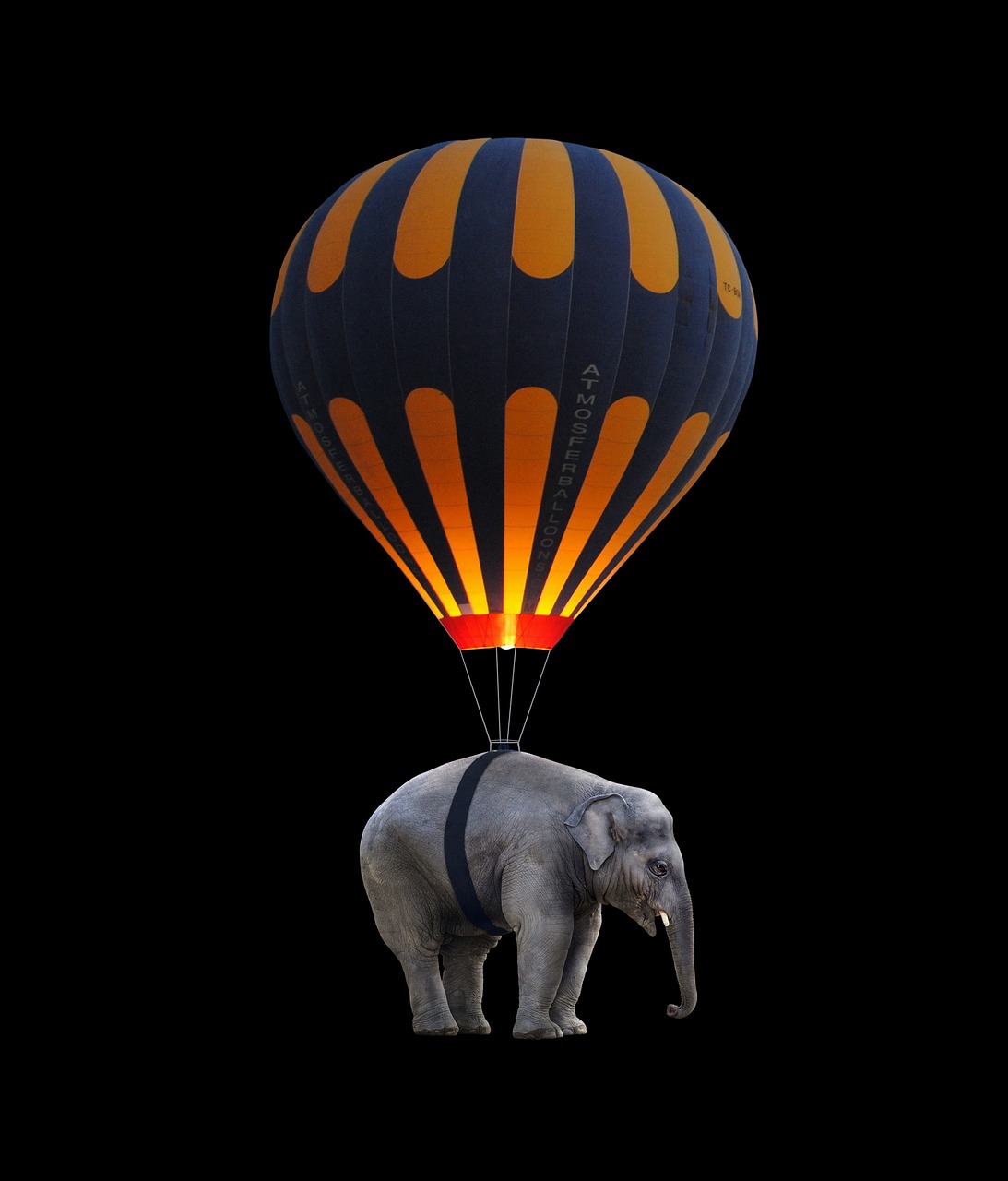 elephant balloon fly free photo