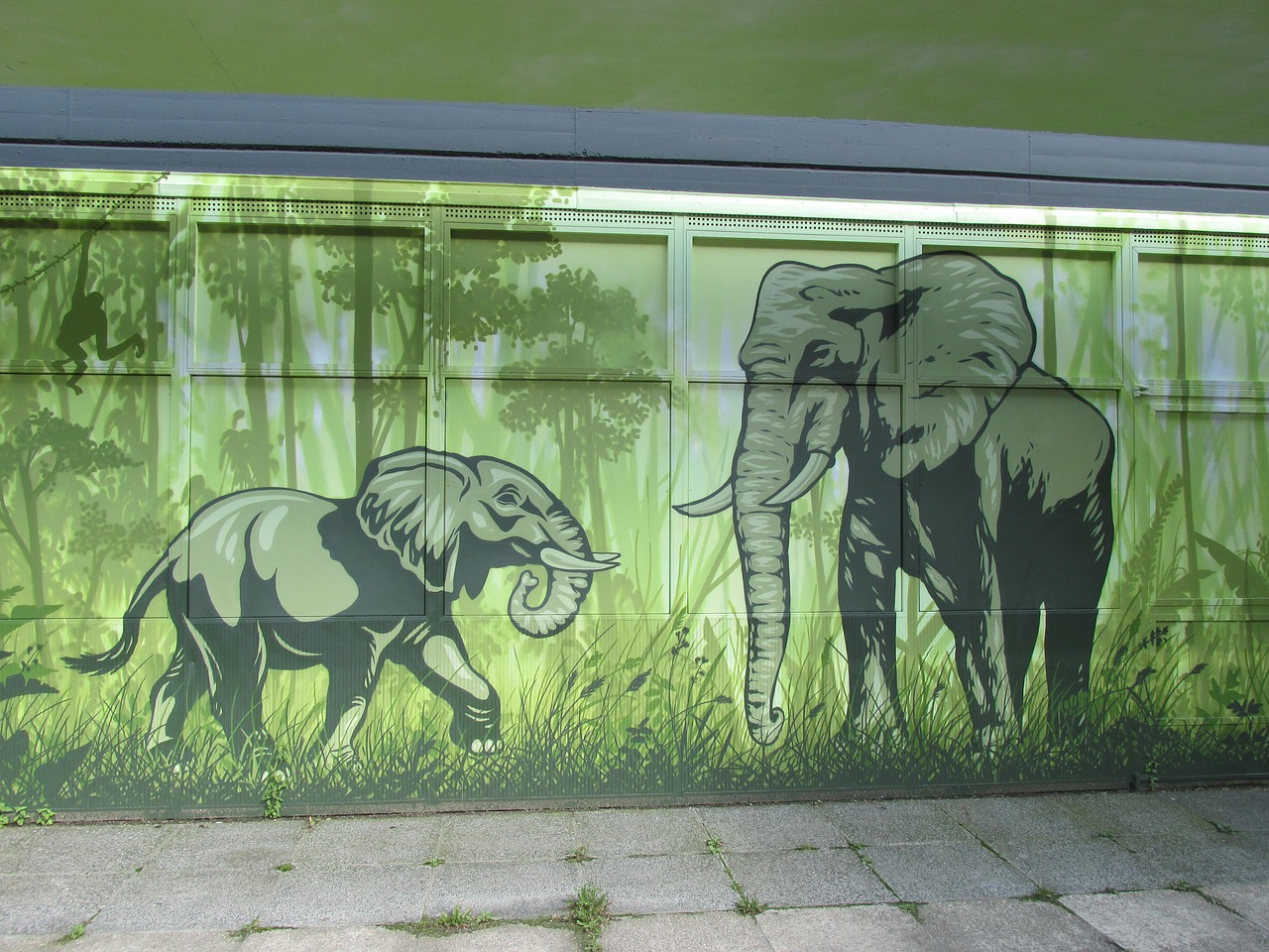 elephant wall art wall free photo