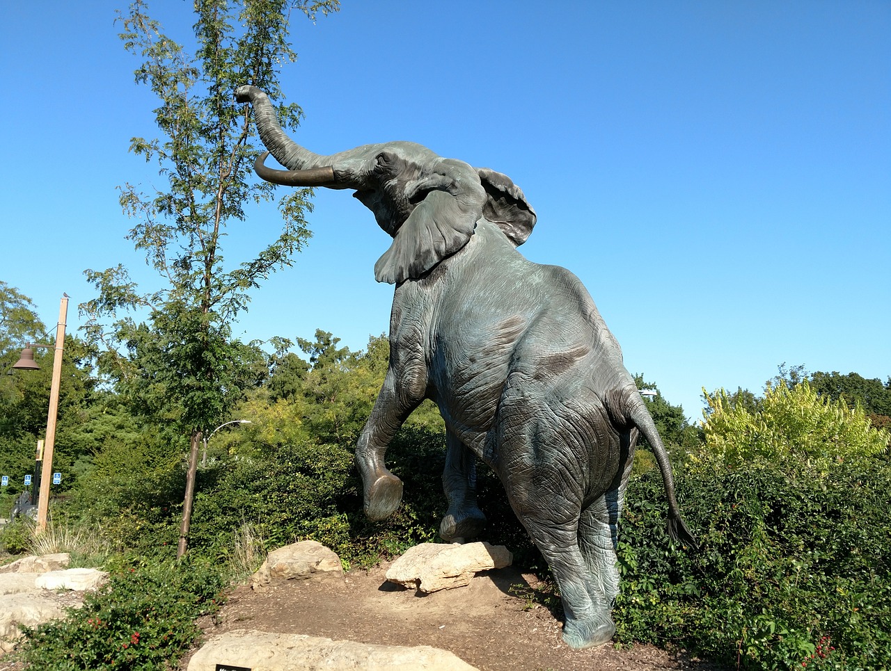 elephant statue zoo free photo