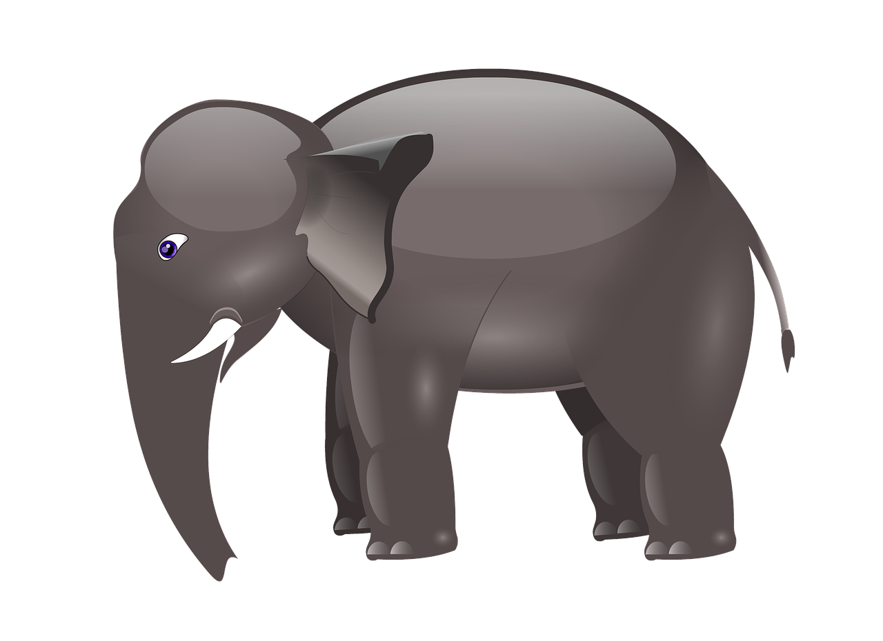 elephant cartoon animal free photo