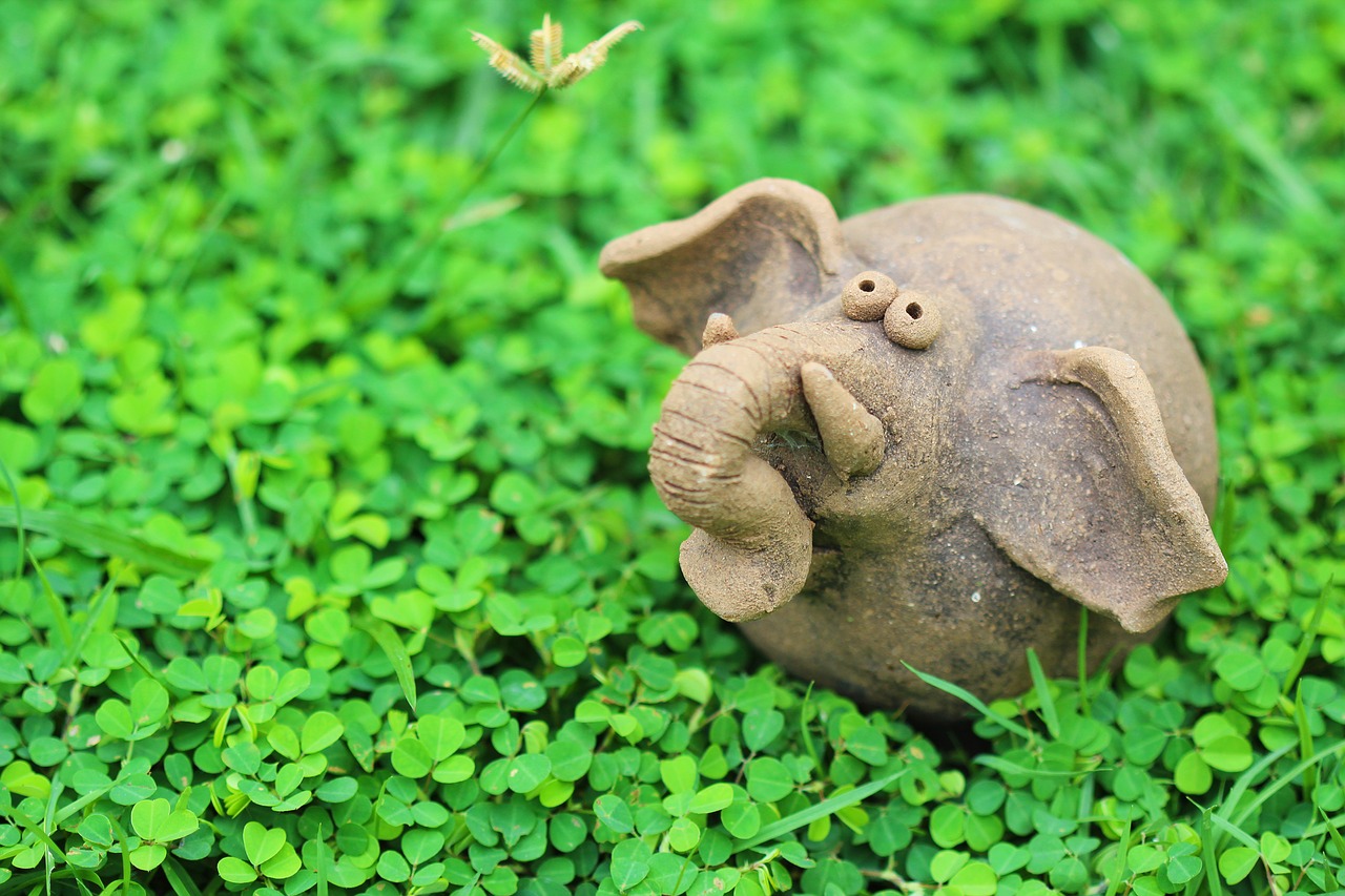 elephant green nature free photo