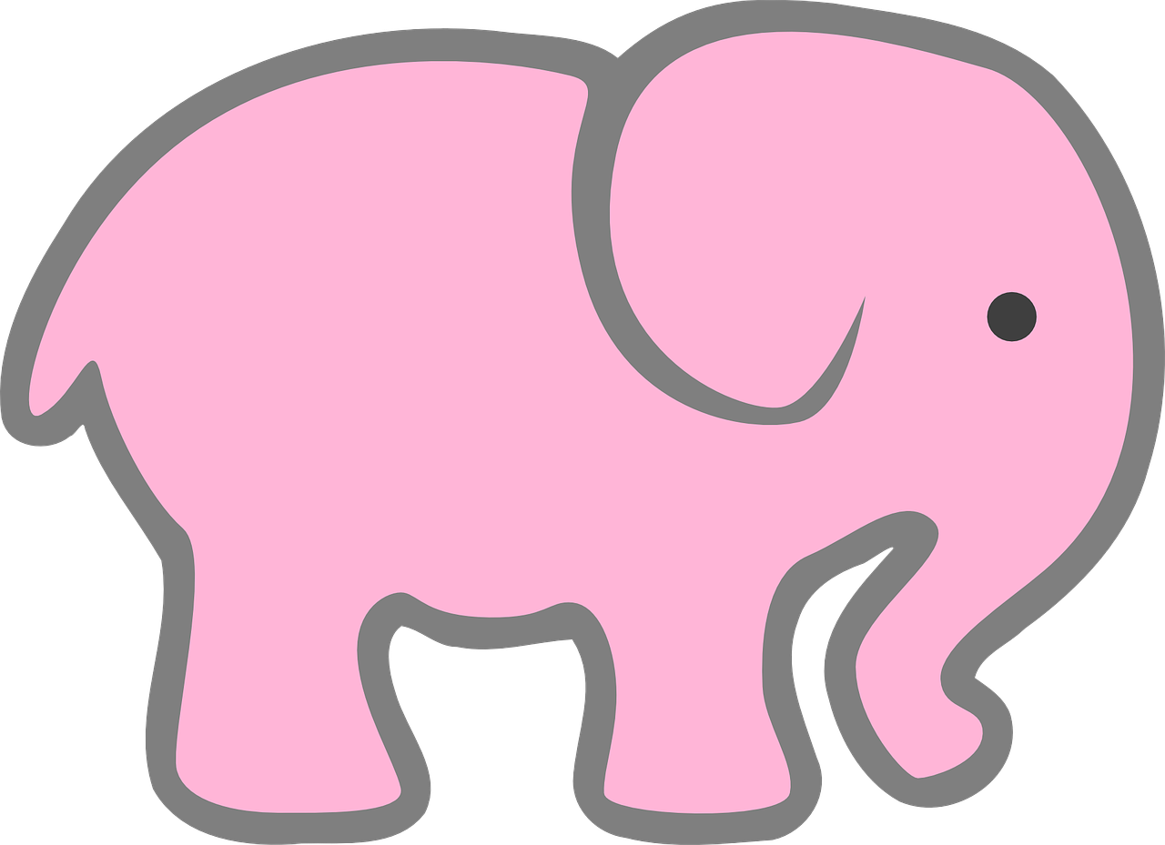 elephant baby pink free photo